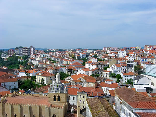 istock View over the red european roofs 453543661