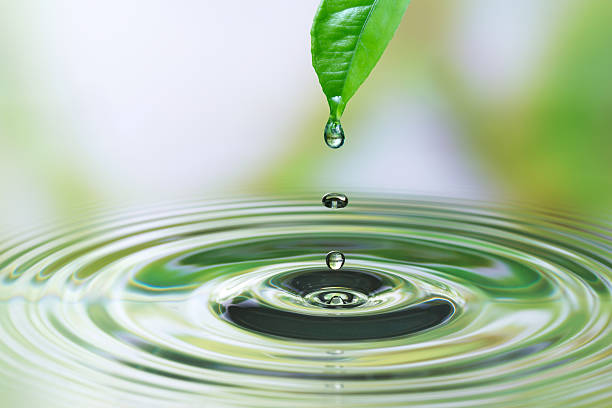 gotas de água na folha - ripple water waterdrop drop imagens e fotografias de stock