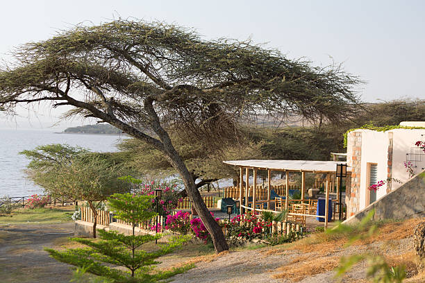 Shores of Langano Lake