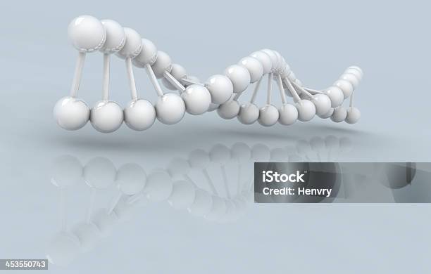 Biały Dna Model - zdjęcia stockowe i więcej obrazów DNA - DNA, Biały, Spirala - Figura geometryczna