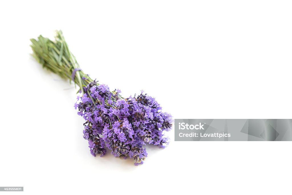 Mazzo di lavanda isolato - Foto stock royalty-free di Bianco