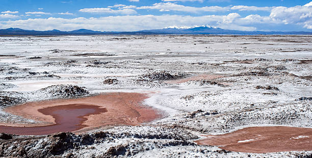 Northwest Argentina - Salinas Grandes Desert Landscape Salinas Grandes on Argentina Andes is a salt desert in the Jujuy Province..It is of industrial importance for its sodium and potassium mines. More significantly, Bolivas Salar de Uyuni is also located in the same region and is estimated to contain up to 80% of the worlds lithium deposits. lakebed stock pictures, royalty-free photos & images