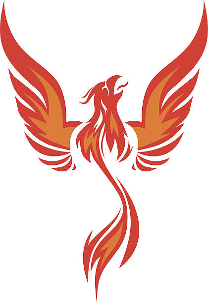 phoenix - - phoenix stock-grafiken, -clipart, -cartoons und -symbole