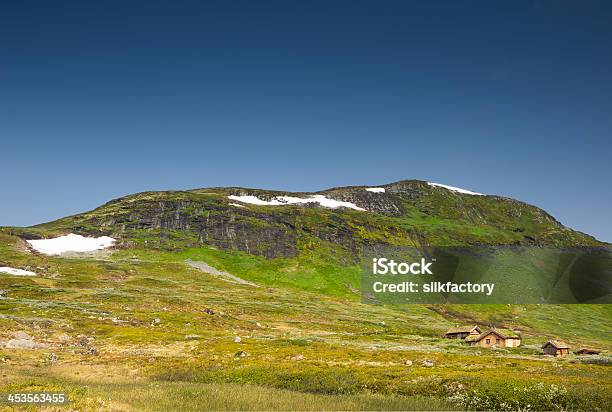 Photo libre de droit de Lété Dans Les Hautes Montagnes De De Jotunheimen En Norvège banque d'images et plus d'images libres de droit de Ciel