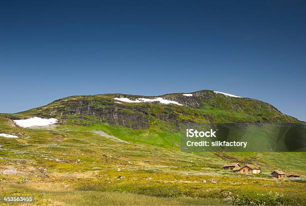 Лето В Высокие Горы В Норвегии Йотунхеймен — стоковые фотографии и другие картинки Без людей - Без людей, Бревенчатый домик, Гора