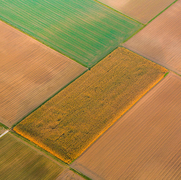 istock aerial of fields in golden sunset light 453564731