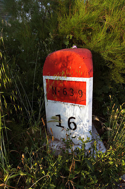 istock stone milestone on road surrounded by plants and bushes 453564923