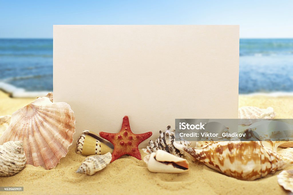Carta bianco con conchiglie sulla spiaggia - Foto stock royalty-free di Stella marina cornuta