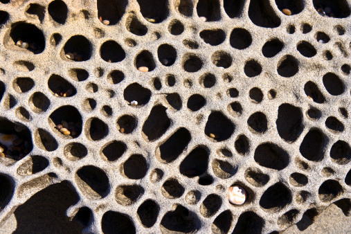 Pitted ocean rock full of eroding pebbles. Horizontal.