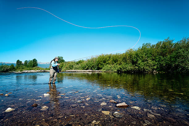 istock Fly Fishing Woman  At  Daybreak 453567875