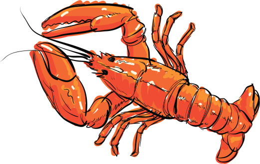A vector illustrations of an hand-drawn Lobster