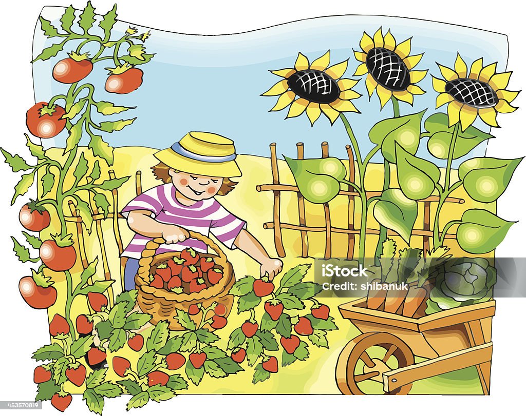 Petit garçon fermier cueillir des fraises - clipart vectoriel de Cartoon libre de droits