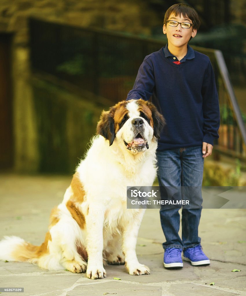Dziecko z st. bernard Pies - Zbiór zdjęć royalty-free (10-11 lat)