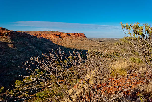 kanion króli krajobraz, terytorium północne, australia8 - australia nature kings canyon northern territory zdjęcia i obrazy z banku zdjęć