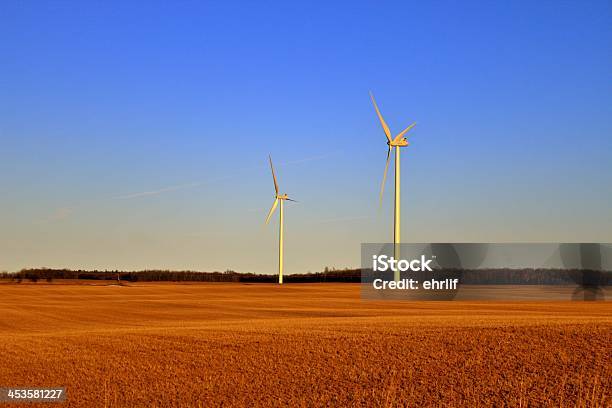 Amber Ondas De Grãos - Fotografias de stock e mais imagens de Agricultura - Agricultura, Ajardinado, Campo agrícola