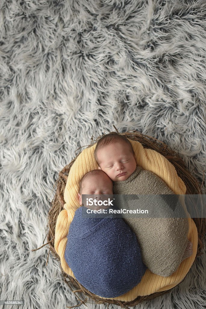 Recién nacido en el nido de los gemelos - Foto de stock de Gemelos - Nacimientos múltiples libre de derechos