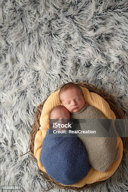 Recién Nacido En El Nido De Los Gemelos Foto de stock y más banco de imágenes de Gemelos - Nacimientos múltiples - Gemelos - Nacimientos múltiples, Recién nacido - 0-1 mes, 0-1 mes