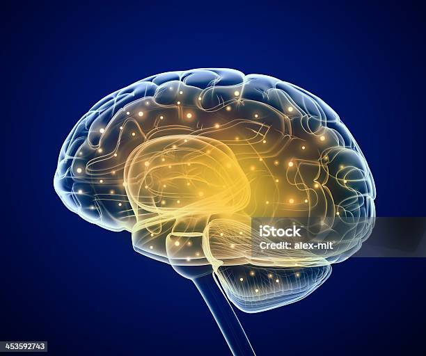 Illustration Of Brain With Areas Lit Up Stock Photo - Download Image Now - Human Brain, Parietal Lobe, Anatomy