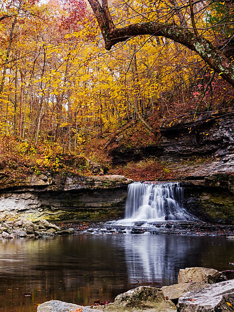 istock McCormick's Creek Falls and Autumn Leaves 453593365