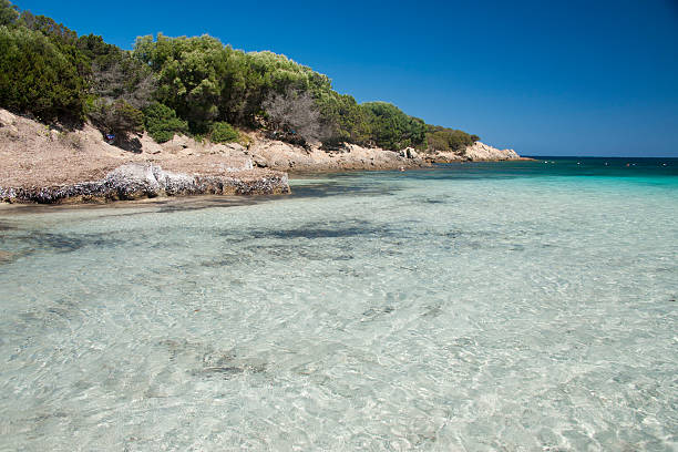 istock The Bay of Cala Granu in Sardinia 453593953