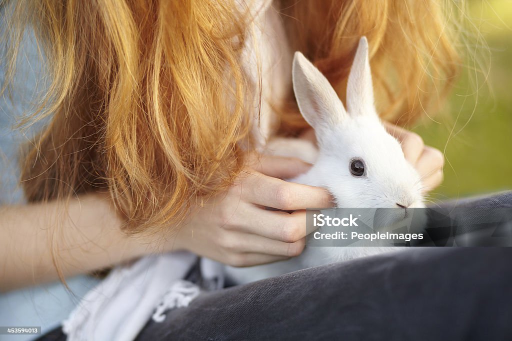 Sie hat ein weiches Tragegefühl - Lizenzfrei Kaninchen Stock-Foto