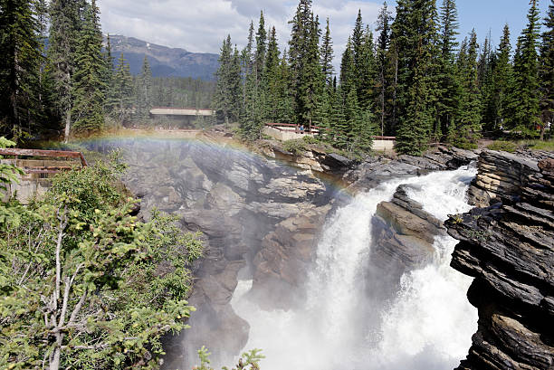 istock Athabaskan waterfall in Jasper National Park in Canada 453594485