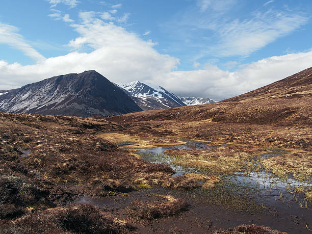 cairngorms montagne a sud di carn a'mhaim, scozia in primavera - munros foto e immagini stock