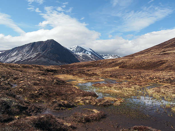 Cairngorms mountains, south of Carn a Mhaim, Scotland in spring Cairngorms mountains, looking at Devil point to the left and Cairn Toul in the center background. cairngorm mountains stock pictures, royalty-free photos & images