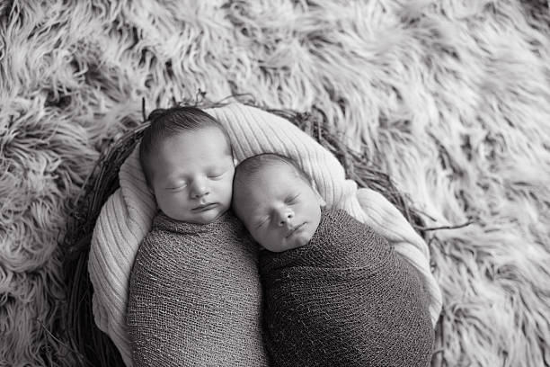 новорожденный twins в гнездо - baby animal nest newborn lying down стоковые фото и изображения