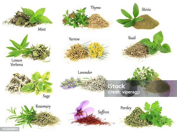 Collection Of Fresh And Dry Aromatic Herbs Stock Photo - Download Image Now - Basil, Close-up, Collection