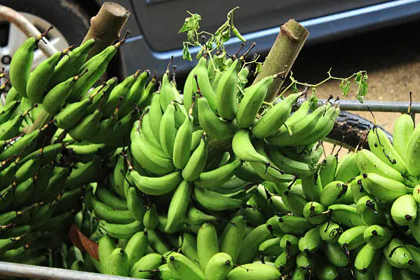 Closeup green banana