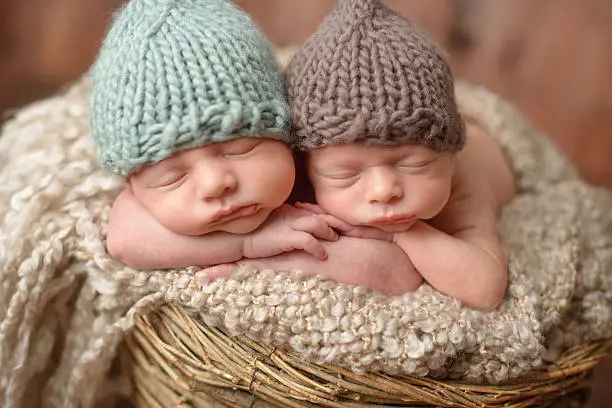 A close up of newborn twins sleeping in a basket.