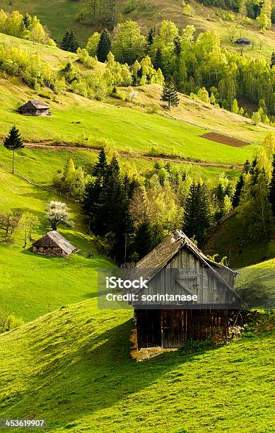 Spring Rhapsody Stock Photo - Download Image Now - Day, Green Color, House