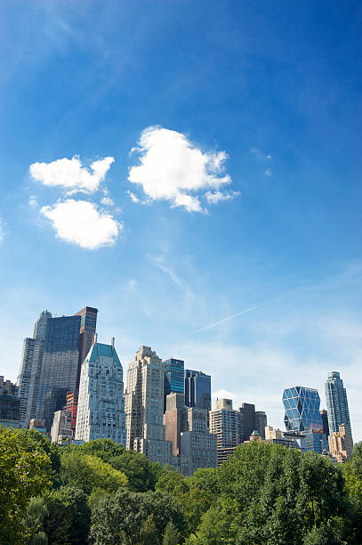 istock New York City Skyline Green Trees Blue Sky Clouds 453620025