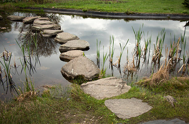 istock natural crossing to the other side 453623455