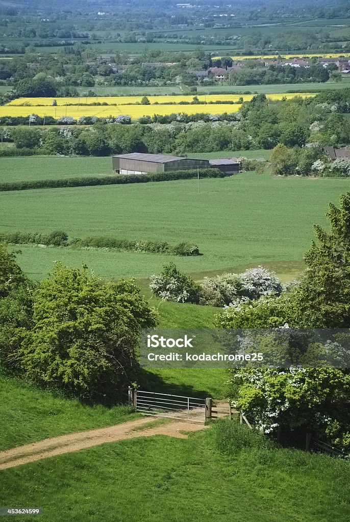 warwickshire - Royalty-free Agricultura Foto de stock