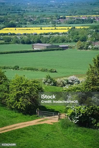 Warwickshire - Fotografias de stock e mais imagens de Agricultura - Agricultura, Ao Ar Livre, Campo agrícola