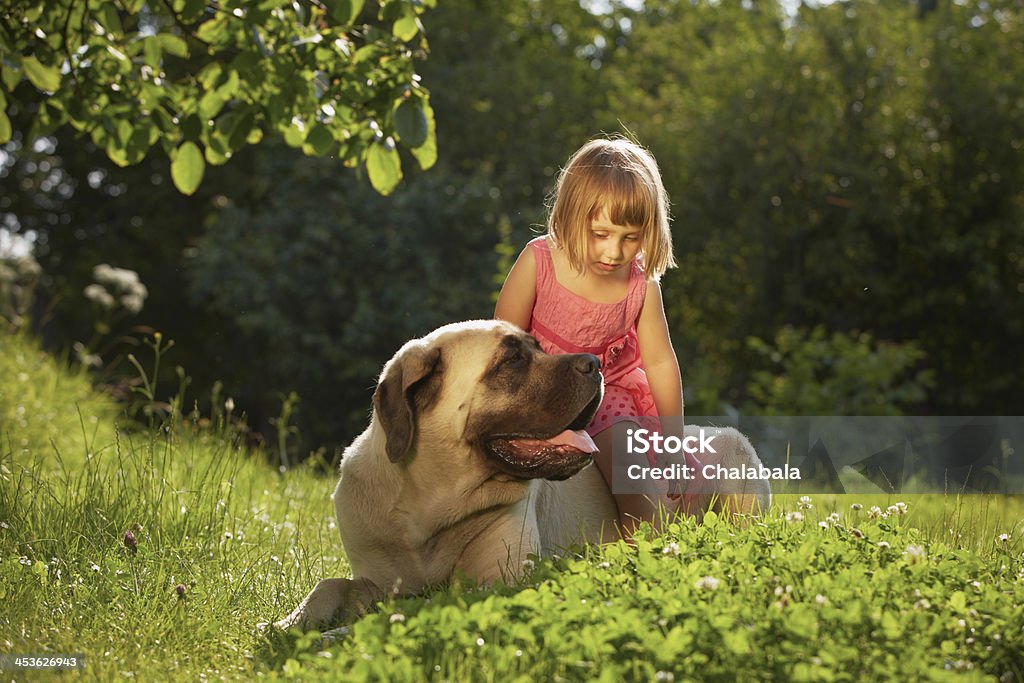 Girl with dog Little girl with large dog in the garden Child Stock Photo