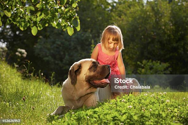 Girl With Dog Stock Photo - Download Image Now - Child, Dog, Public Park