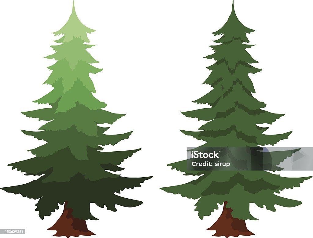 evergreen fir trees Illustration of two evergreen fir trees, one with a gradient colour, isolated on white conceptual of forests, forestry, timber, nature and natural sustainable resources Douglas Fir stock vector