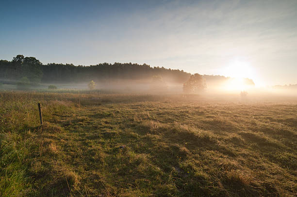 istock Sunrise over the misty field 453629851