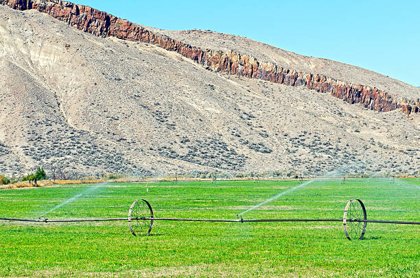 istock Irrigating pasture land in arid eastern Oregon 453632909