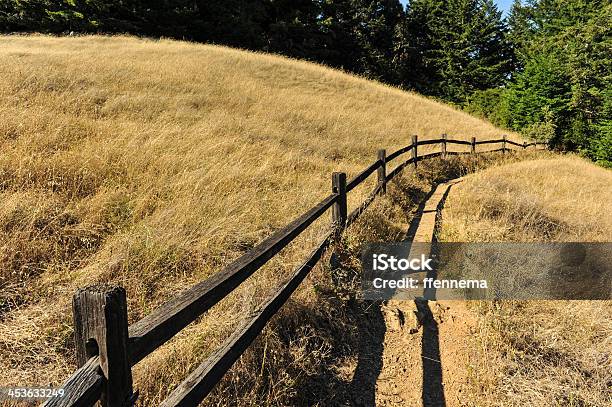 Деревянный Забор Вдоль Hiking Trail Возле Поле — стоковые фотографии и другие картинки Без людей - Без людей, Гора, Горизонтальный