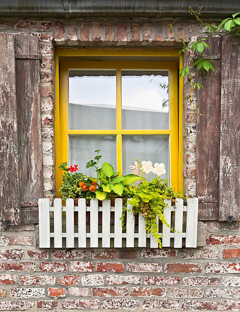 istock Vintage window with flowers 453633869