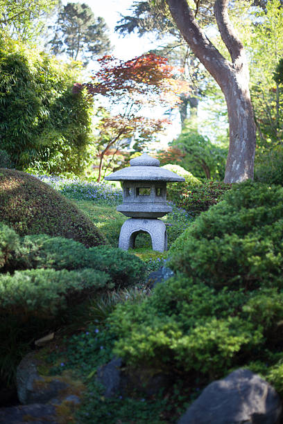 istock Japan Garden San Francisco 453634789