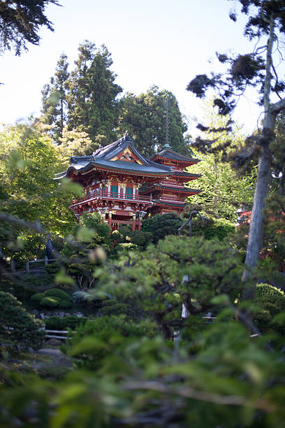 istock Japan Garden San Francisco 453634833