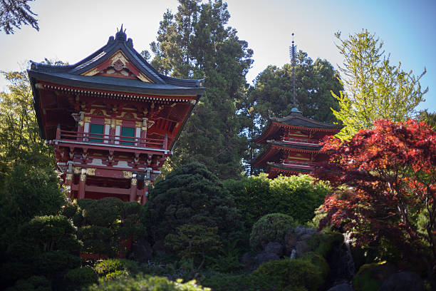 istock Japan Garden San Francisco 453634835
