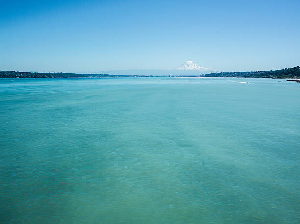 View of Mount Rainer