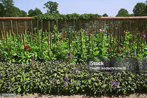 Garden Stock Photo - Download Image Now - Walled Garden, Backgrounds, Botany