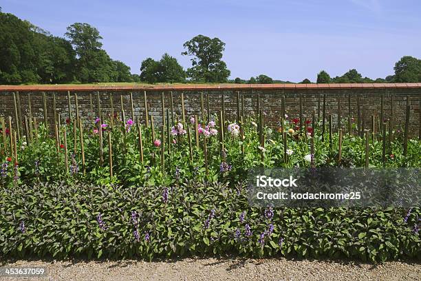 Al Jardín Foto de stock y más banco de imágenes de Botánica - Botánica, Casa, Casita de campo